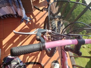 Bicicleta niña 6-10 años. Oregón BH