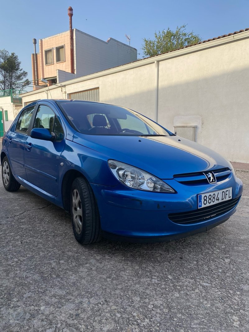 Peugeot 307 diesel - foto 1