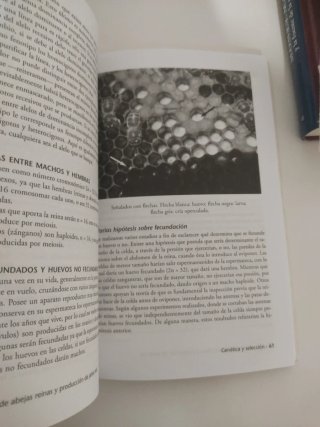 Libro Cría Rentable de Abejas Reinas