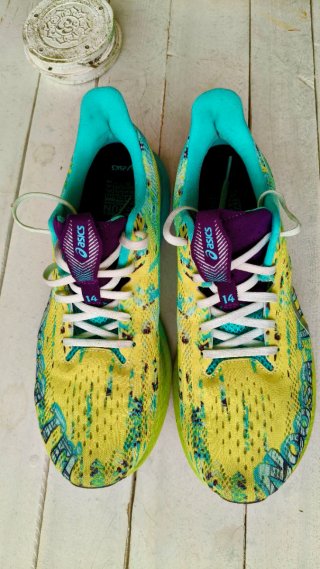 Zapatillas running Asics Noosa Tri 14 talla 42.5