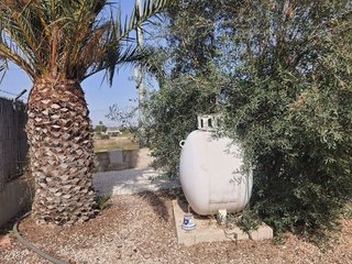 Chalet en venta en La Marina en Elche
