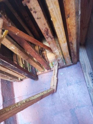 Colmenas y material apícola