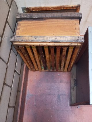 Colmenas y material apícola
