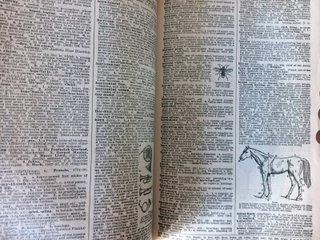 THE AMERICAN COLLEGE DICTIONARY