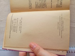 El canto errante