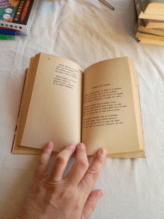 El canto errante