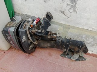 Motor fueraborda Evinrude