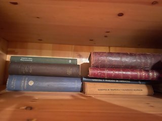 Lote de libros antiguos de Farmacia y Botánica