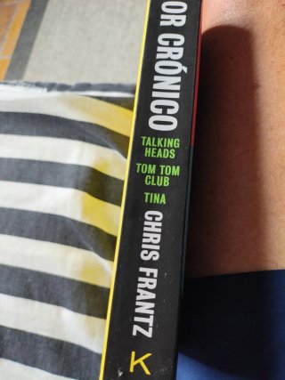 Amor crónico : memorias de Chris Frantz