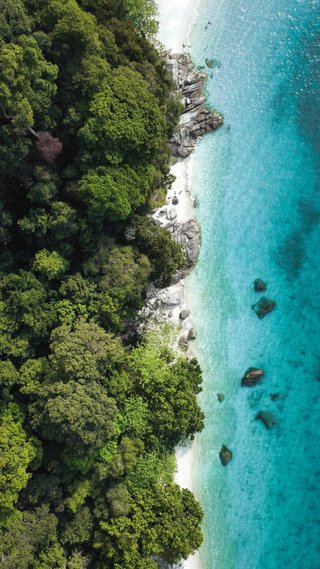 Fotografía y Vídeos. Fotógrafo Dron y Cámara