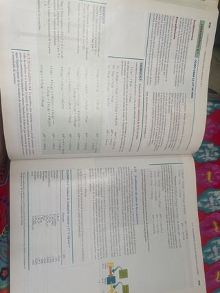 Principios de Química. La búsqueda del conocimi...