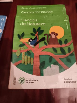 PRIMARIA cuarto