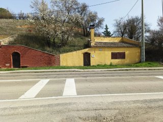 Bodega