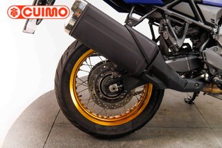 SUZUKI DL 800 DE