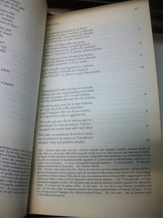 Il canzoniere - Petrarca - Manica - edizione...