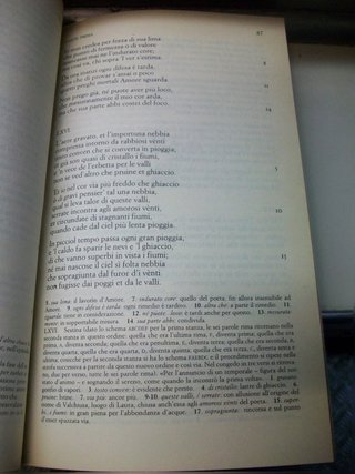 Il canzoniere - Petrarca - Manica - edizione...