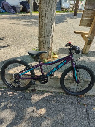 Bicicleta Coluer Magic 20