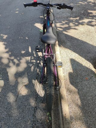 Bicicleta Coluer Magic 20