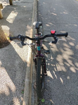 Bicicleta Coluer Magic 20