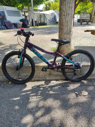 Bicicleta Coluer Magic 20
