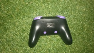 Mando Pro Switch / Diseño Pokémon(Gengar)