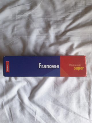 Dizionario Francese