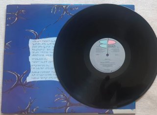 Vinilo Lp Robert Plant- Shaken 'n' Stirred
