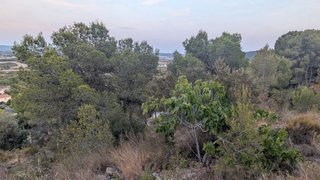 Parcela 550m2 con vistas - Urbanización la Miralba
