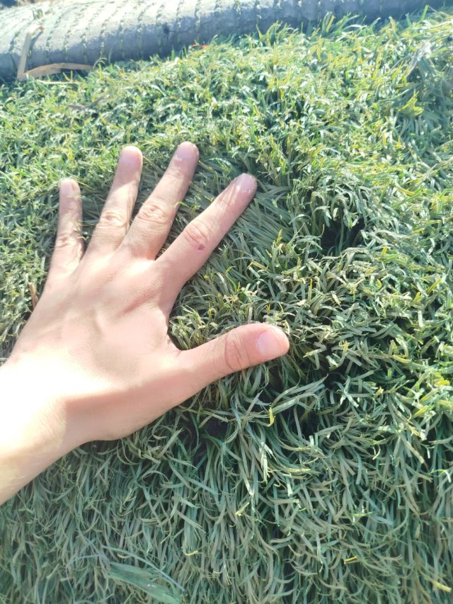 Césped artificial verde