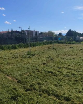 Huerto