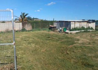 Huerto