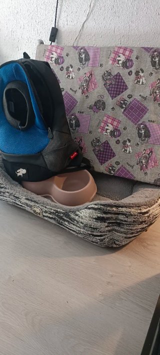 Accesorios para perro: transportín y cuenco camas