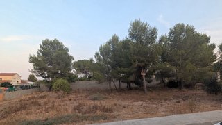 Parcela 1200m2 llana construible en La Miralba