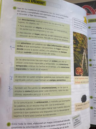 Lengua Castellana y Literatura 4, Segundo Ciclo...