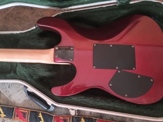 Guitarra LTD roja con funda y amplificador