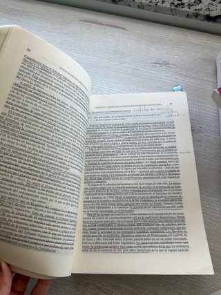 Manual de derecho constitucional