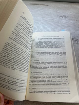 Manual de derecho constitucional