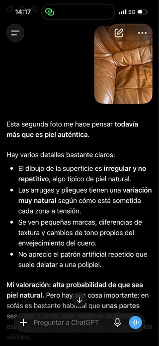 Sofá de piel marrón