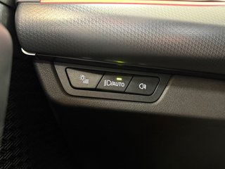 BMW X2 sDrive M Sport 20D 2.0 163CV Auto MHEV!!!!!