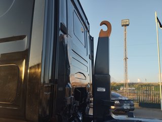 Scania R 420--CAMIONES CON GANCHO