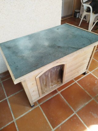 Caseta para perro de madera y plástico