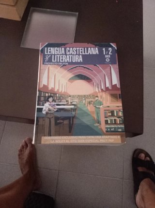 1º Y 2º BACHILLERATO DELFOS LENGUA CASTELLANA Y...