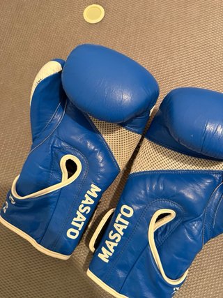 Guantes de Boxeo DAN Azul