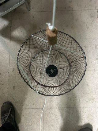 Cesta para cangrejos de metal