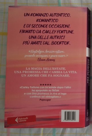 Una promessa in riva al lago - Carley Fortune