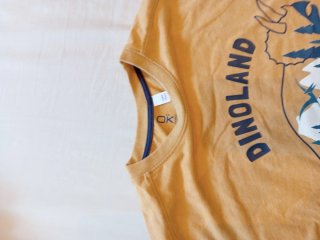 Camiseta naranja dinosaurios Dinoland