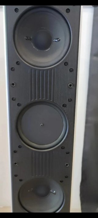 Pareja de Altavoces Negros y Plateados