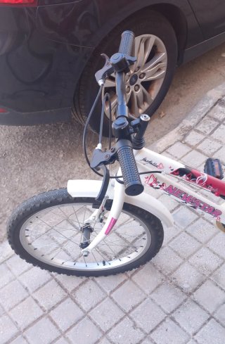 Bicicleta infantil niña 20 pulgadas