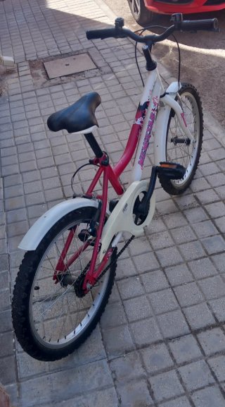 Bicicleta infantil niña 20 pulgadas