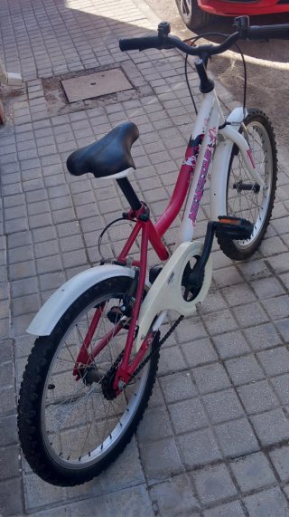 Bicicleta infantil niña 20 pulgadas